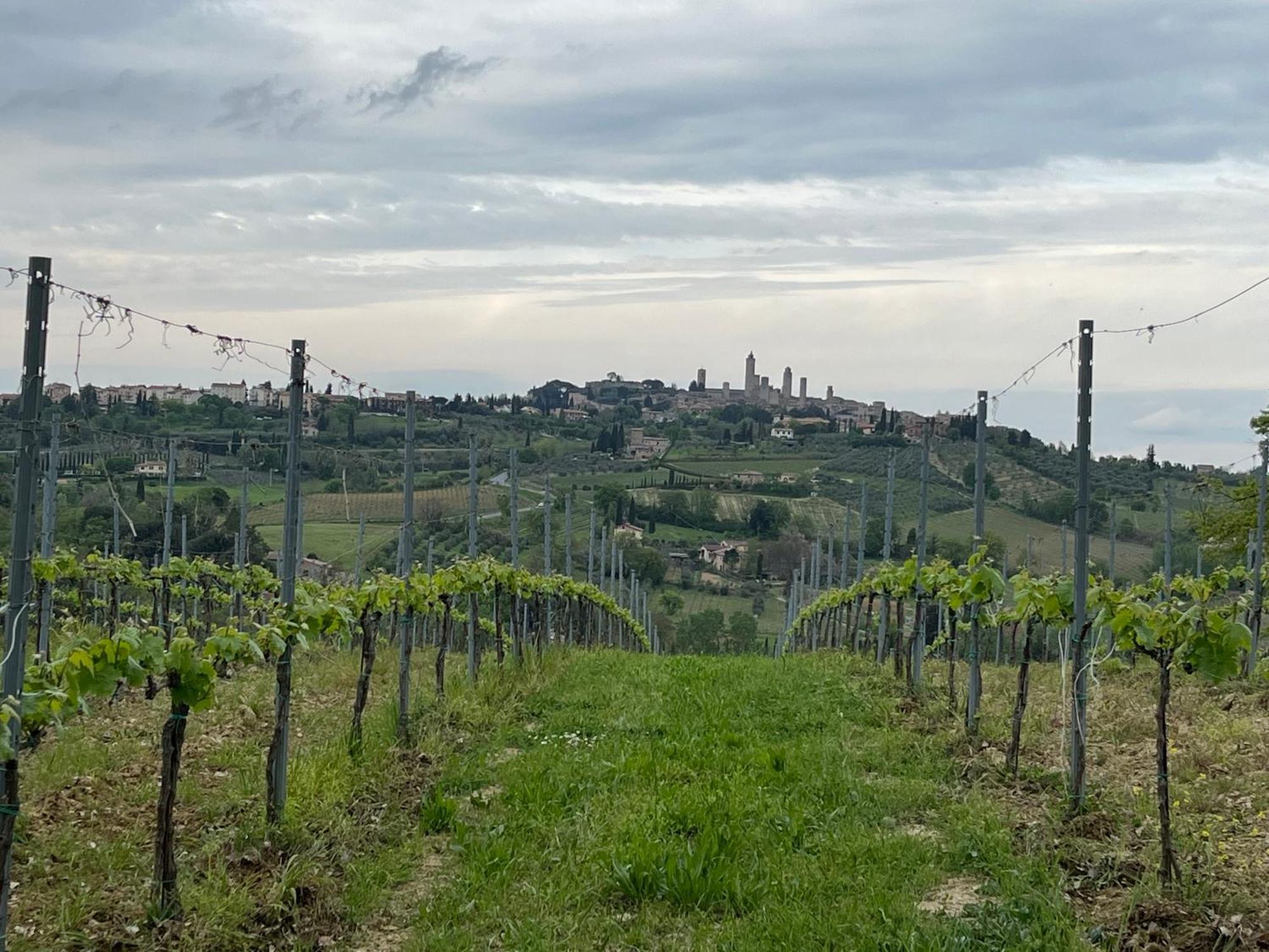 Podere Casanuova San Gimignano Exterior photo