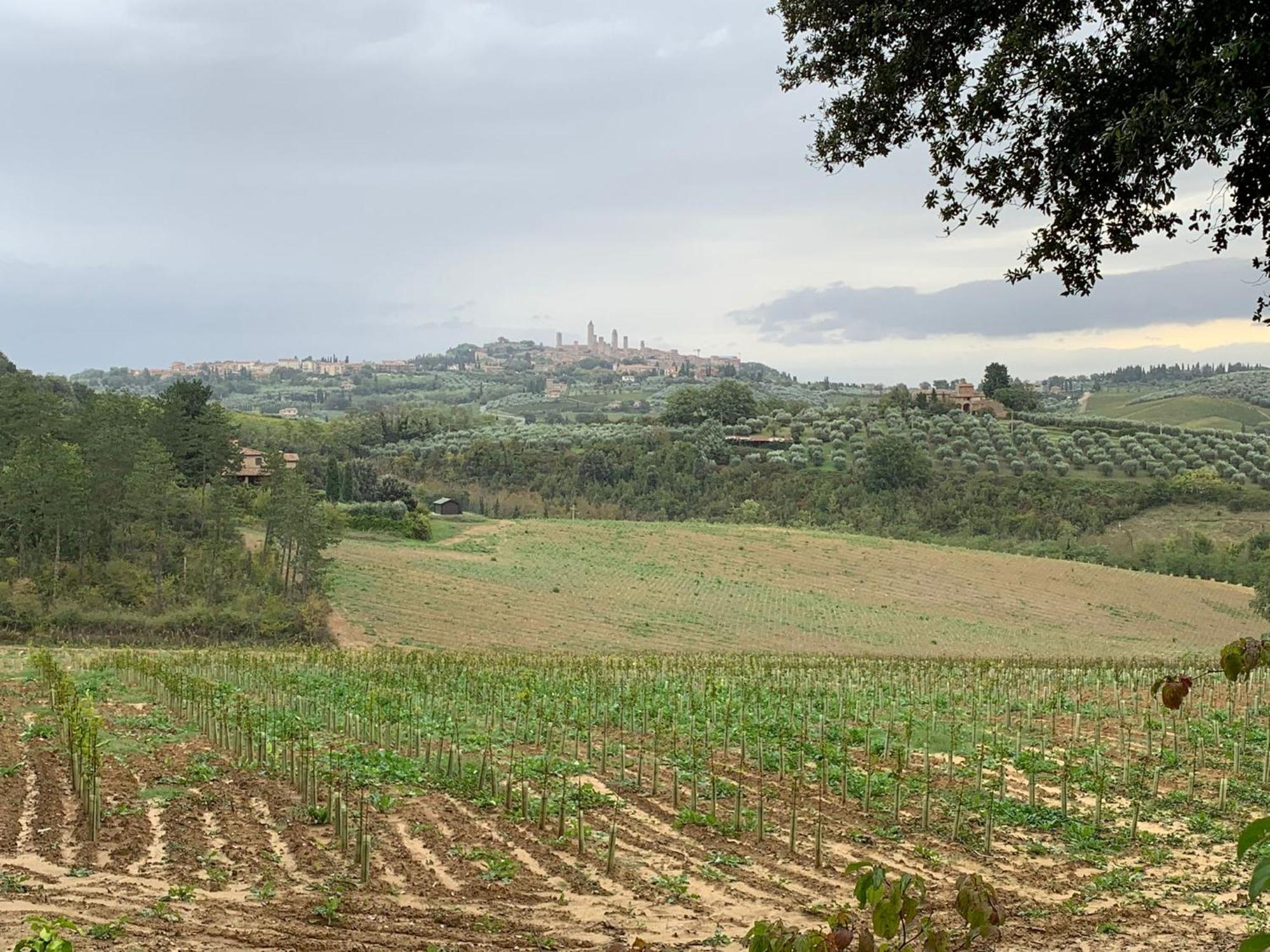 Podere Casanuova San Gimignano Exterior photo